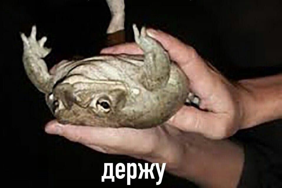 5bd5f6f445fc409d9be4bfddd45e7372.jpg