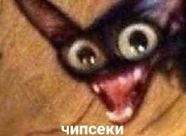 images.jpg
