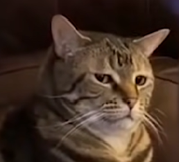 Безымянный.png