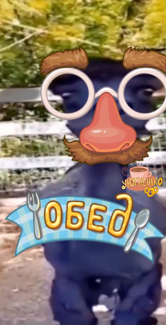 1650993902334.jpg