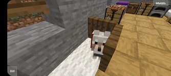 Screenshot_20210303-233922_PojavLauncher (Minecraft Java Edition for Android).jpg
