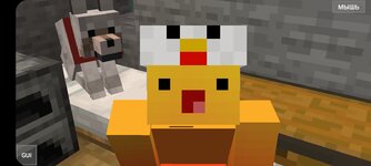 Screenshot_20210304-215328_PojavLauncher (Minecraft Java Edition for Android).jpg