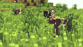 4a3538196c6e37ec1bd379fce173ced7.gif