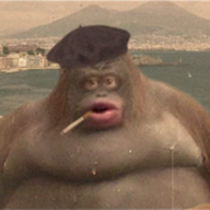 slliry