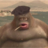 slliry