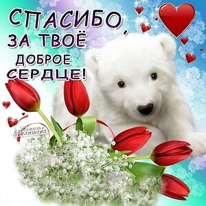 skachat-miluyu-otkritku-so-slovami-blagodarnosti.orig.jpg