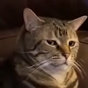Безымянный.png