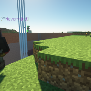 Next Generation Minecraft Graphics