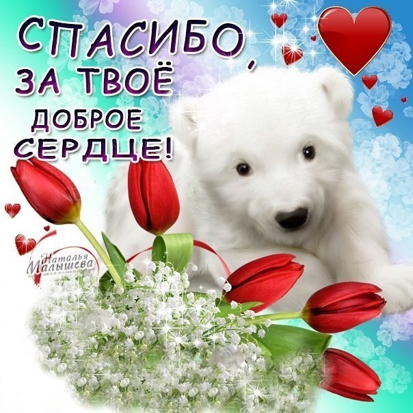 skachat-miluyu-otkritku-so-slovami-blagodarnosti.orig.jpg