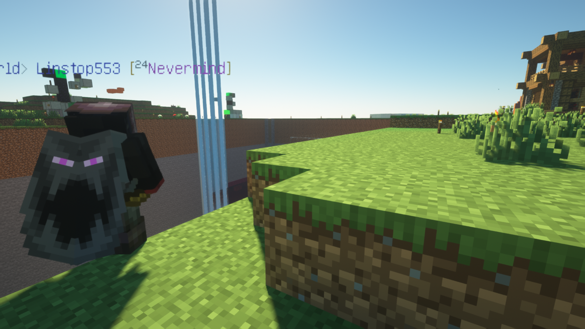 Next Generation Minecraft Graphics